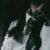 Profile picture of Sayana