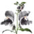 Profile picture of SnapDragon