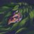 Profile picture of dranna