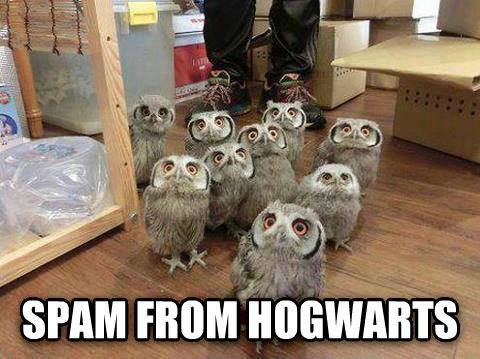 Spam from Hogwarts