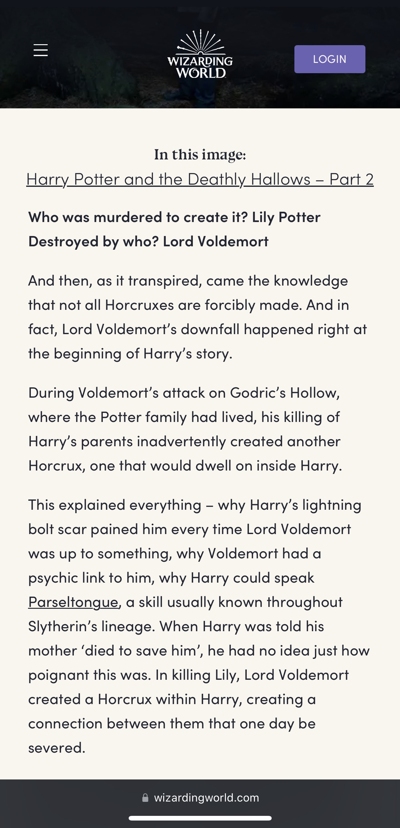 Wizarding Horcrux
